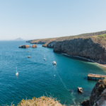 Channel Islands National Park in One Day: The Ultimate Visitor’s Guide