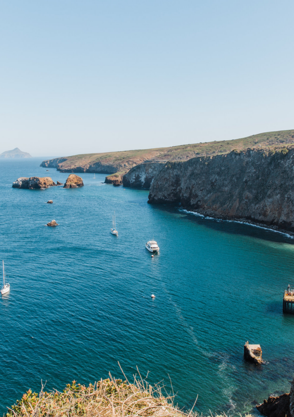 Channel Islands National Park in One Day: The Ultimate Visitor’s Guide