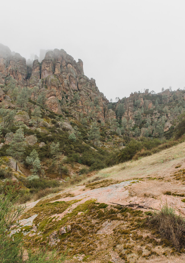 Guide To Visiting Pinnacles National Park